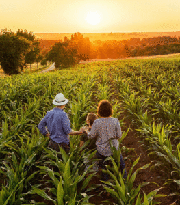 7a33a72e02b4e94263bfc5bd7005bb515e37af39